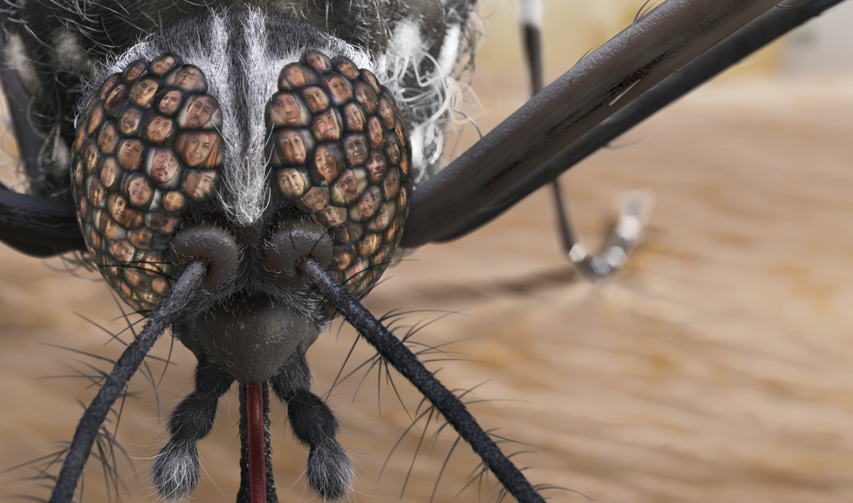 a fly