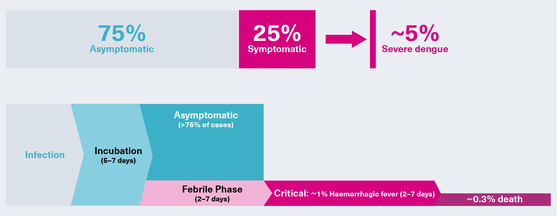 Dengue infections overview